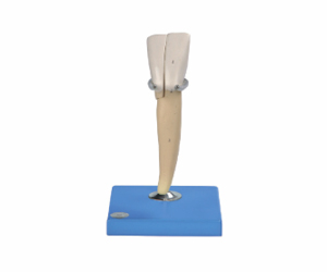BioLab Products